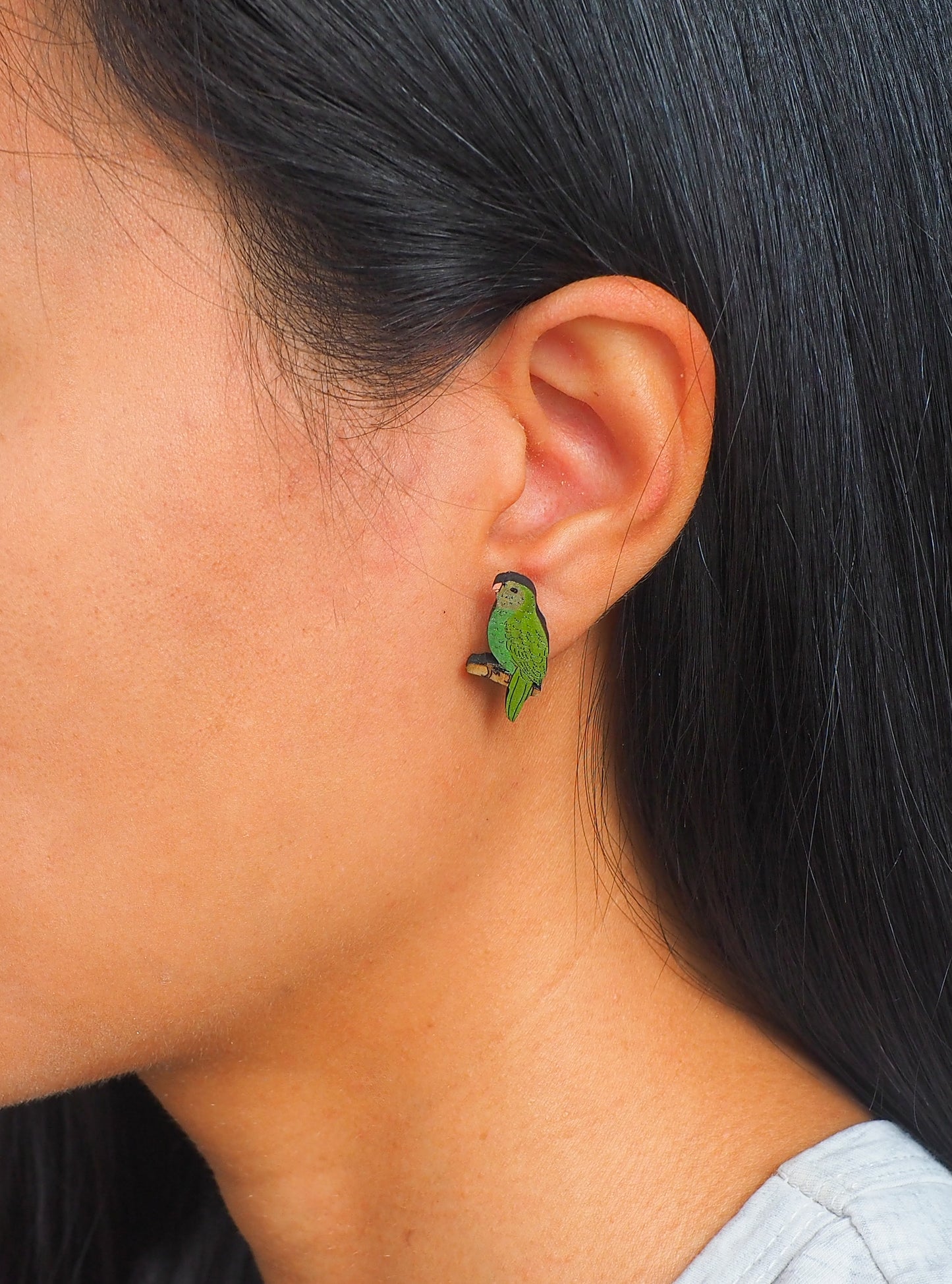 Kakapo (Night parrot) Wooden Rimu Stud Earrings