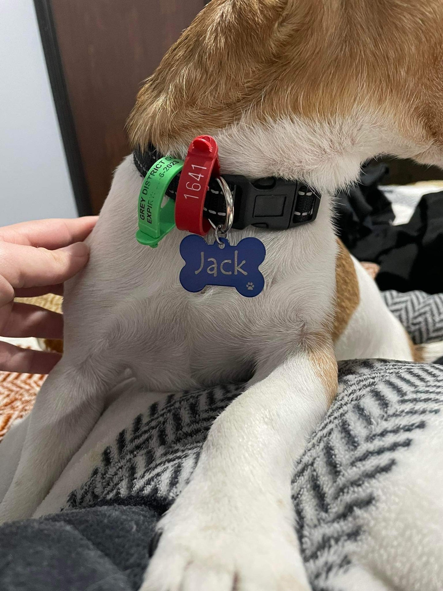 Aluminum Pet Tag