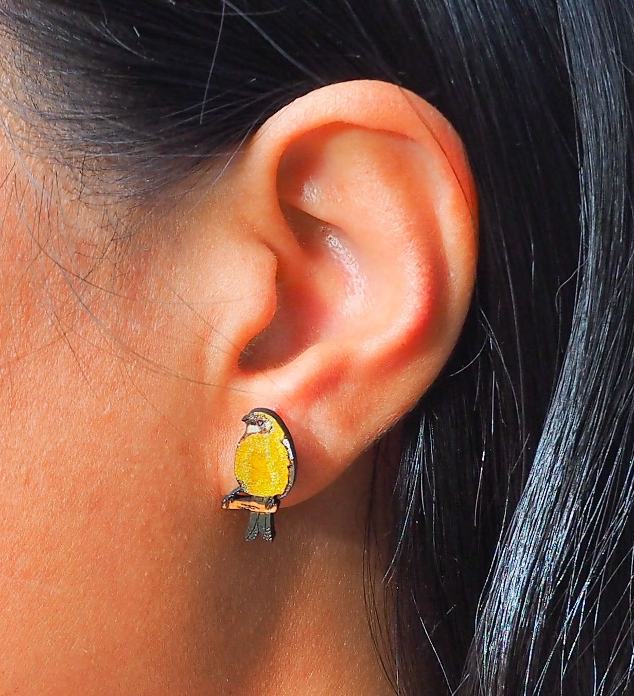 Bellbird (Korimako) Wooden Rimu Stud Earrings
