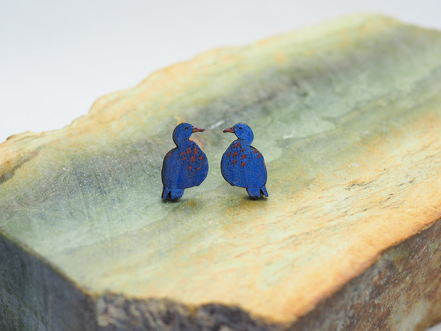 Blue Duck (Whio) Wooden Rimu Stud Earrings