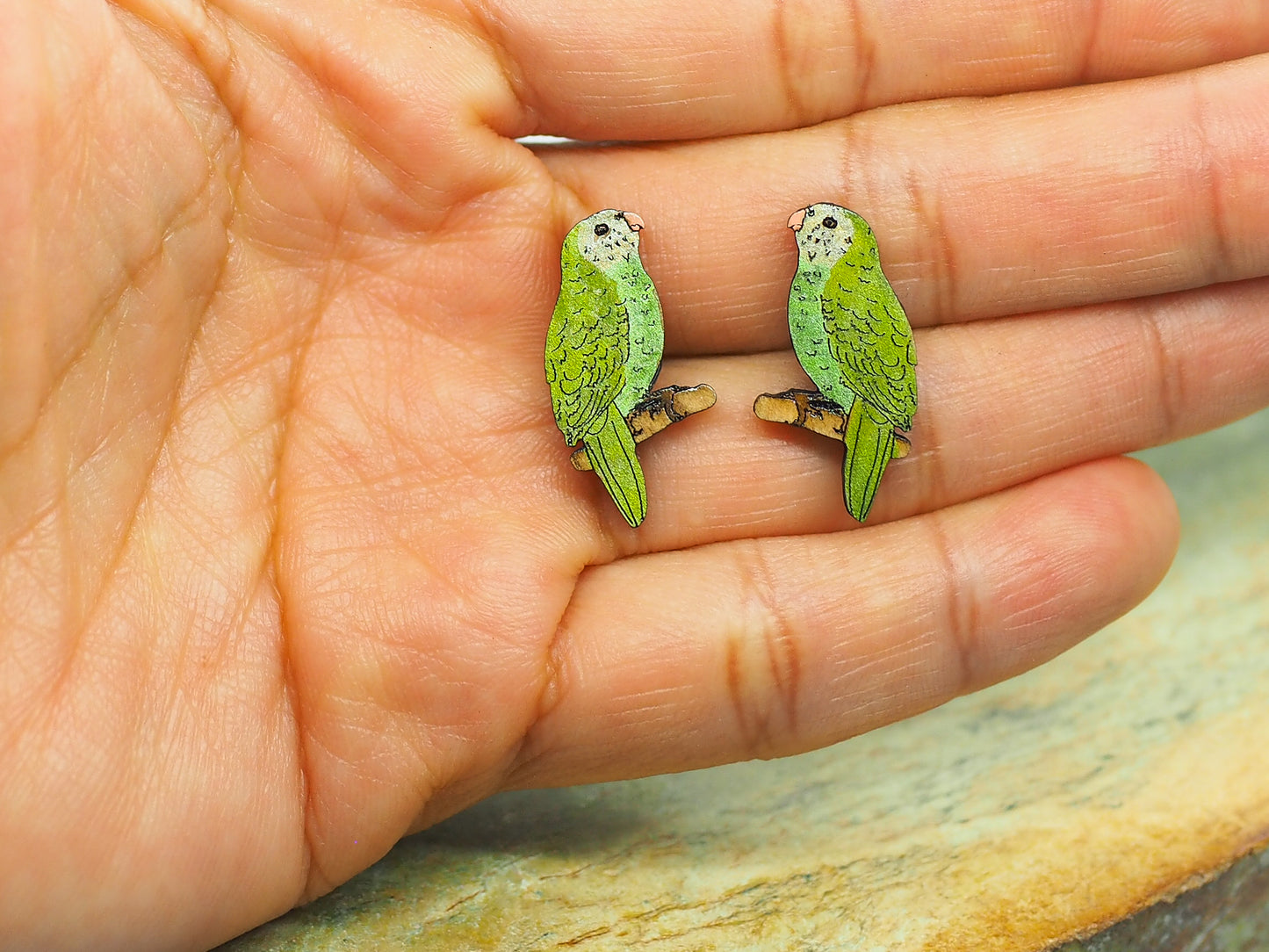 Kakapo (Night parrot) Wooden Rimu Stud Earrings