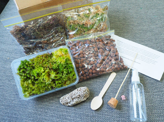 DIY Starter Magical Moss Terrarium Kit